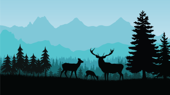 Les animaux des bois